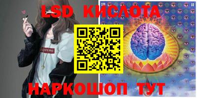 мяу мяу мука Кулебаки