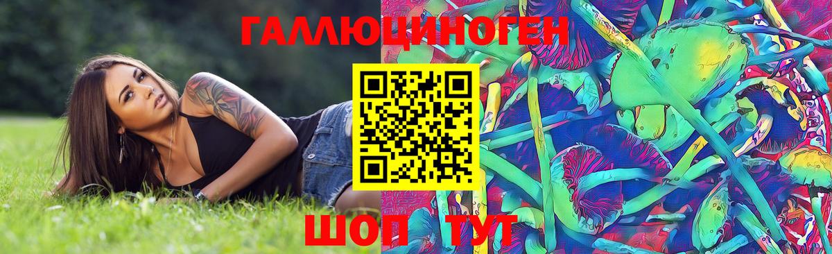 Псилоцибиновые грибы Psilocybe Карачаевск